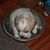 Diane Martell-Beyerle's profile image