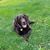 Andy Bassitt's profile image