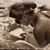 Nuria Ratcliff's profile image