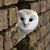 Marya James's profile image