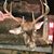 Charlie Gwin's profile image
