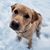 Jennifer Ruck's profile image