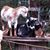 Denise Eden Kamer's profile image