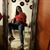 Evelyn Barbieri's profile image