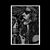 Xochitl Barrera's profile image