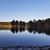 Stephanie Warburton Hanson's profile image