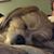 Sue Burton Hallmark's profile image