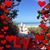 Terri Svetkovich-Reynolds's profile image