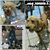 Nicole Lee Talley's profile image