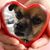 Sherry Drumsta's profile image