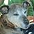 Kim Strode's profile image
