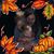 Lauren Poland Hartman's profile image