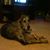 Linda Rathbun's profile image