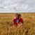 Darla Powell-Jia's profile image