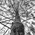 Kim Blaskowski's profile image