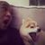 Roberto Kim's profile image