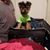 Tammy Ann Markowich's profile image