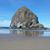 Cindy Tracey McNeese's profile image