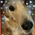Barbara Hedrick's profile image