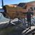 Natalie Davis Blanton's profile image