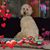 Laura Yauch Hanson's profile image