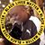 Gregory Boozer's profile image