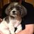 James Bovitz II's profile image
