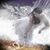 Deborah F. Richey Tyler's profile image
