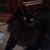 Kathryn Davis's profile image