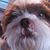 Dan Pultz's profile image