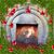 Shelley Baig's profile image