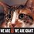 Linda Harris's profile image