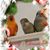 Betty Gutierrez's profile image
