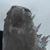 George Naylor's profile image