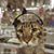 Ken Woolston's profile image