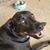 Linda Blair-Grube's profile image