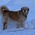 Melinda Bailey Frazier's profile image
