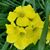 Barbara Gypsy's profile image