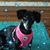 Pennilee McNeil Fallow's profile image