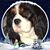 Donna Whedon's profile image