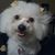 David Benefield's profile image