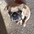 Rebecca McElroy Nichols's profile image