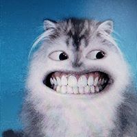 Bill Roberts's profile image