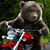 Rod Hoatson's profile image