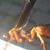 Vincent Thibedeau's profile image