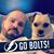 Sean Fillingham's profile image