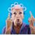 Maria Belli's profile image