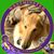 Geri DeGroote's profile image