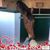 Nadine Emmy Bendfeldt's profile image