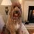Linda Fairchild Jenkins's profile image